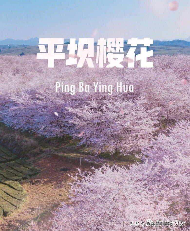 易币付游戏画面